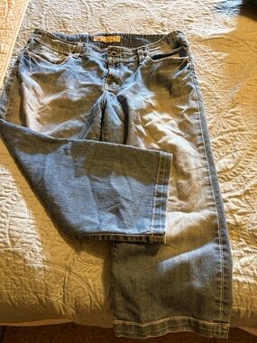 BKE Denim Capri Jeans in Light Blue